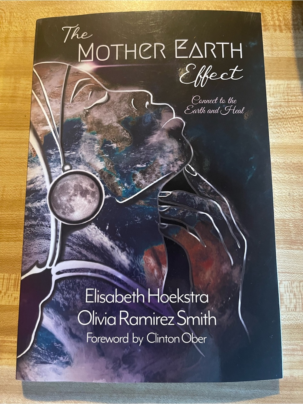 The Mother Earth Effect by Elisabeth Hoekstra - Dark Blue & Purple Cover